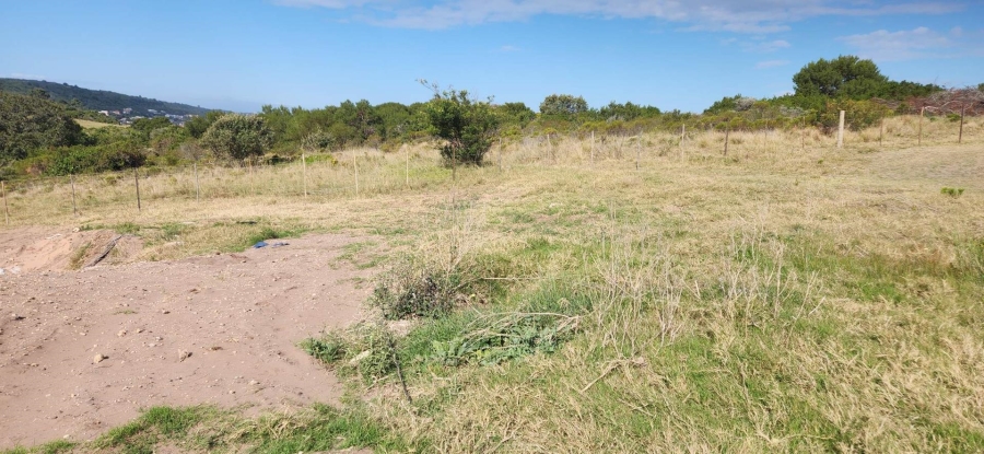 0 Bedroom Property for Sale in Pienaarstrand Western Cape